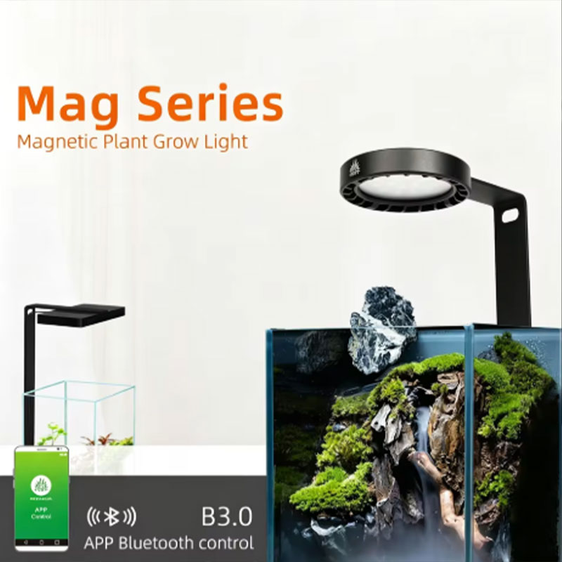 Planted Aquarium Freshwater - Sunsun Hộp Thay Thế Lõi Lọc