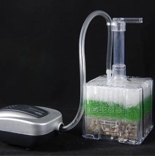 xinyou xy-2011 Fish Tank Aquar - đánh giá và giá Aquarium Plant Ideas