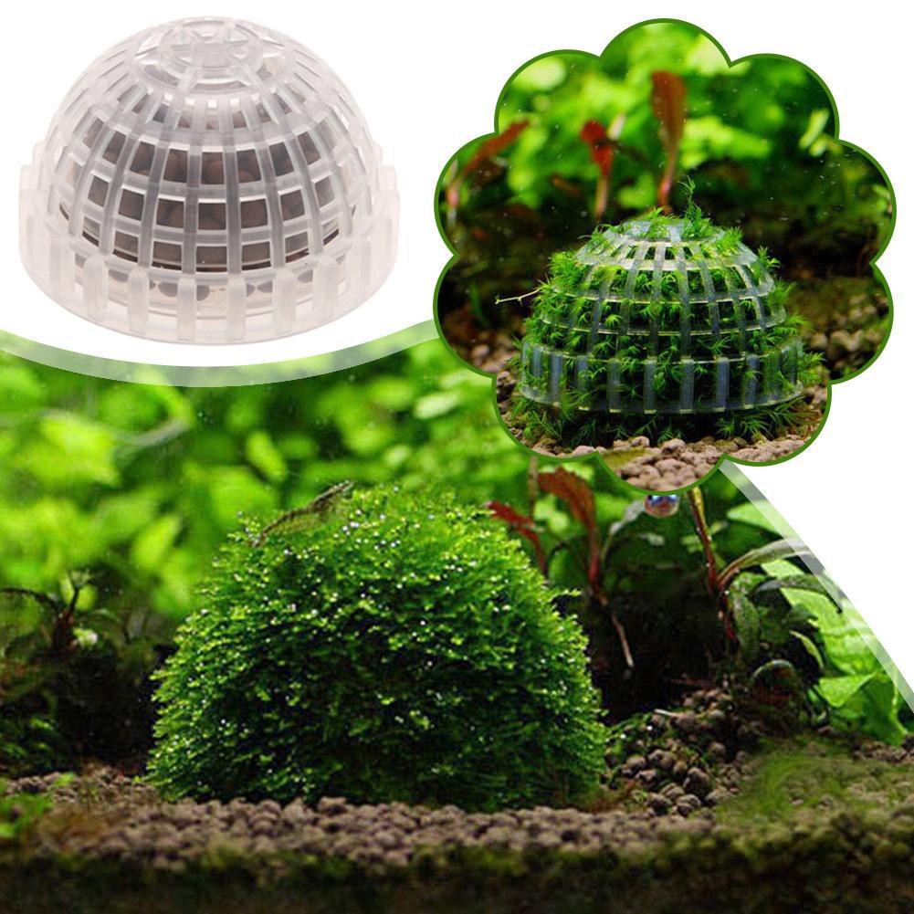 1pc Aquarium Moss Ball Holders - đánh giá và giá Planted Aquarium Models