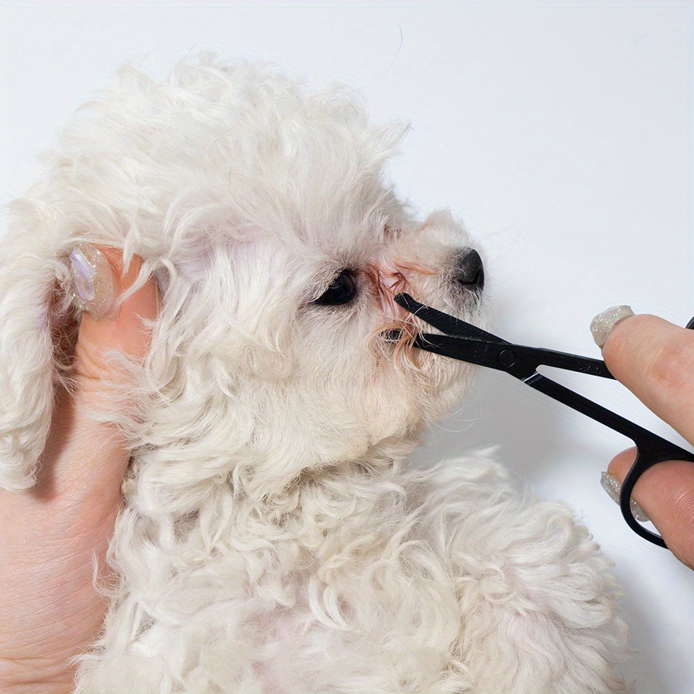Pet Facial Cleaning Comb Set R - đánh giá và giá Trimming Scissor Set