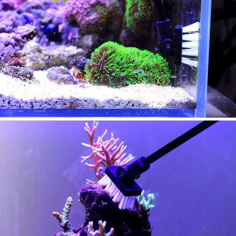 Fishing Cleaning Brush Plant T - đánh giá và giá Planted Aquarium Freshwater