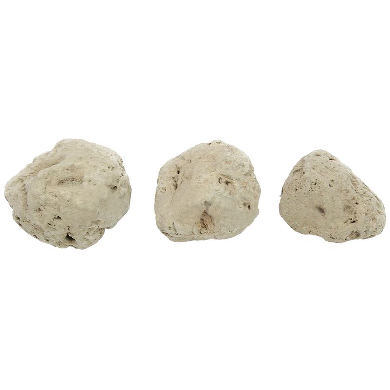 12Pcs Floating Real Rocks Aqua - đánh giá và giá Planted Aquarium Models