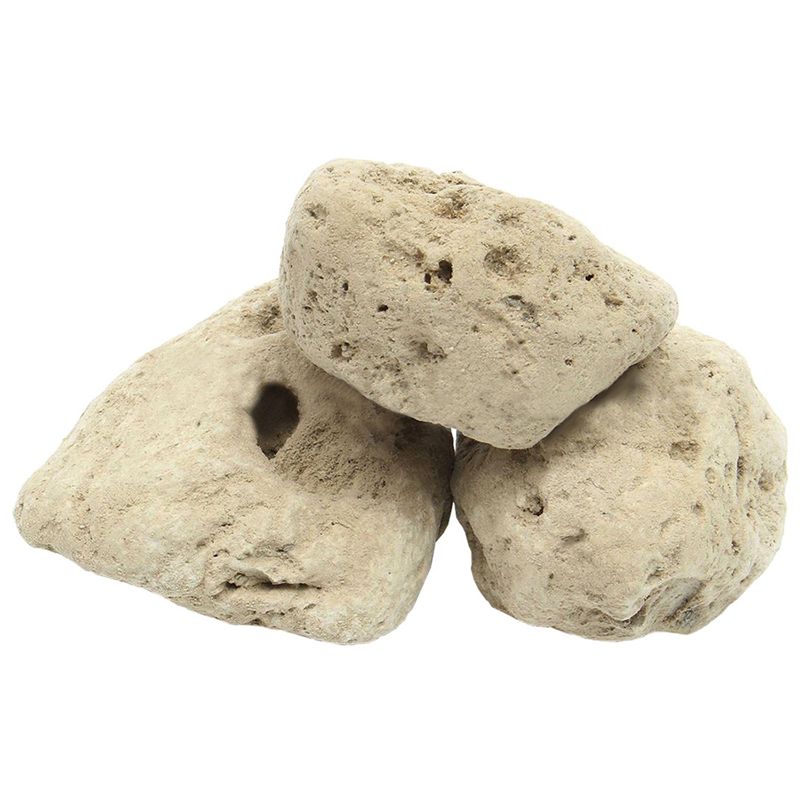 12Pcs Floating Real Rocks Aqua - đánh giá và giá Planted Aquarium Models