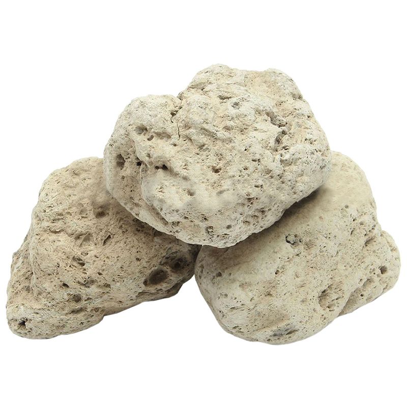 12Pcs Floating Real Rocks Aqua - đánh giá và giá Planted Aquarium Models