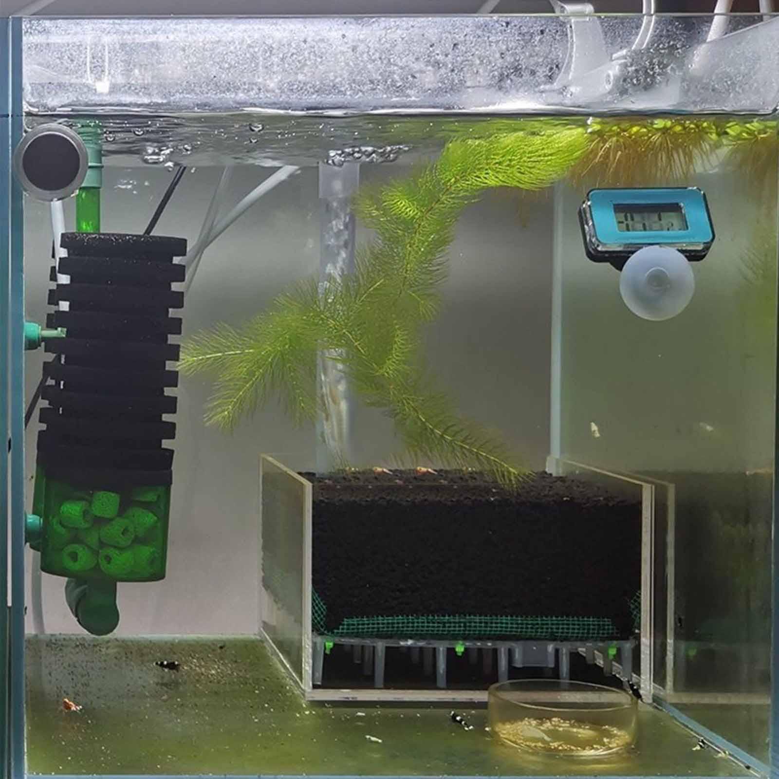 Transparent Acrylic Aquarium F - đánh giá và giá Planted Aquarium Undergravel Filter