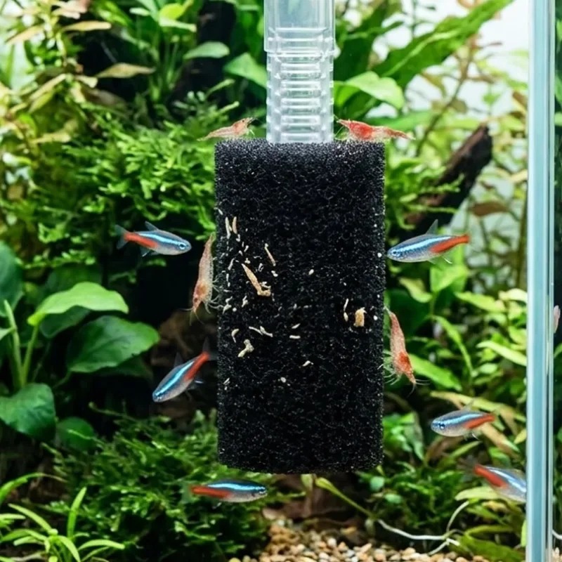 50/5x Pre Filter Sponge Aquari - đánh giá và giá Aquarium Planted Filter