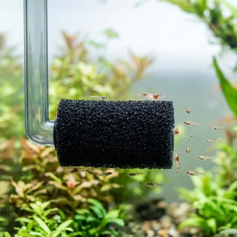 50/5x Pre Filter Sponge Aquari - đánh giá và giá Aquarium Planted Filter