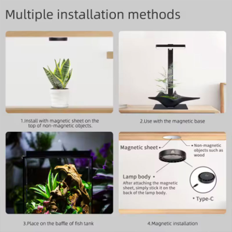 Sunsun Hộp Thay Thế Lõi Lọc Nư - đánh giá và giá Planted Aquarium Freshwater