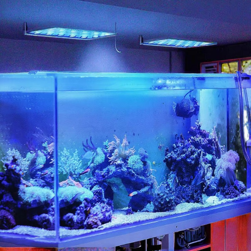 165W Dimmable WiFi APP Control - đánh giá và giá Planted Aquarium Models
