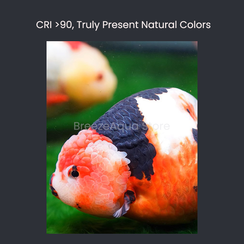 MAYIN Super Colour 100W Freshw - đánh giá và giá Planted Aquarium Freshwater