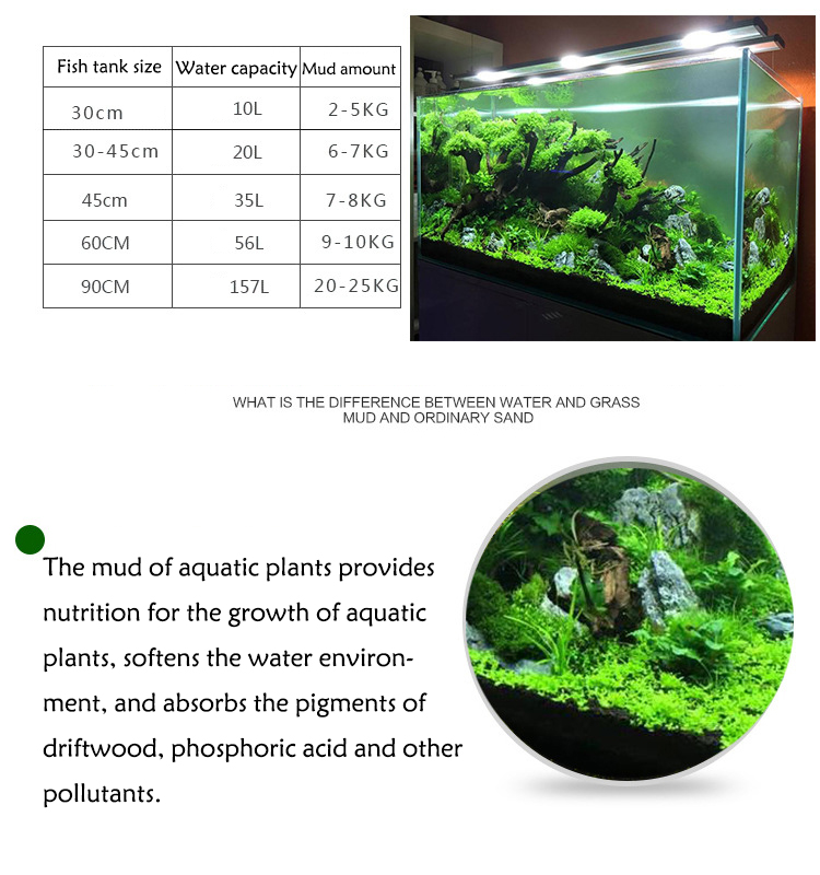 Bể Cá Cảnh Vật Có Hạt Đất Fish - đánh giá và giá Planted Aquarium Freshwater