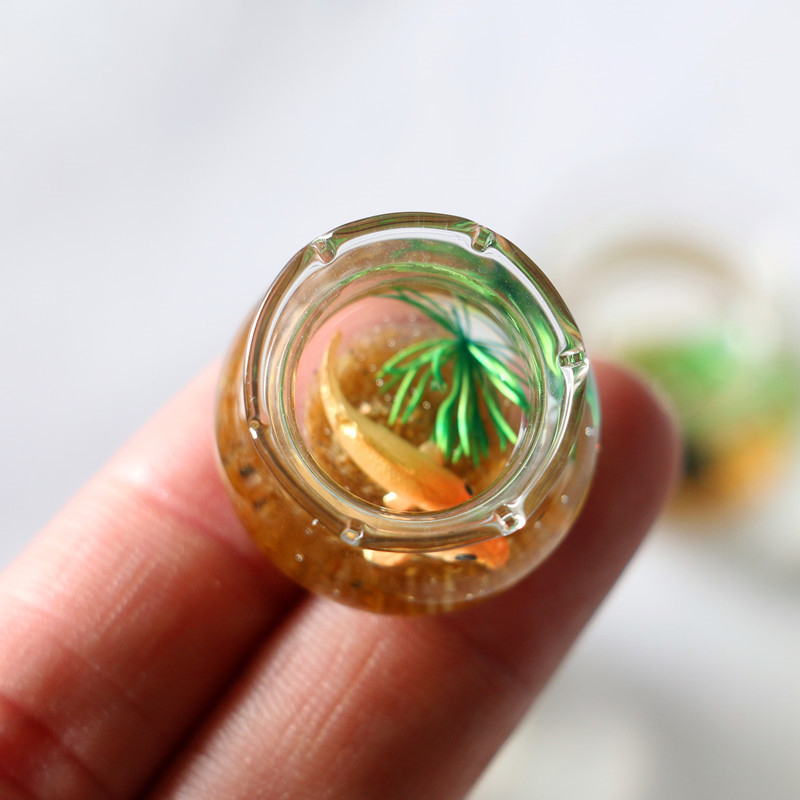 1Pc 1:12 Mini DollHouse Simula - đánh giá và giá Planted Aquarium Models