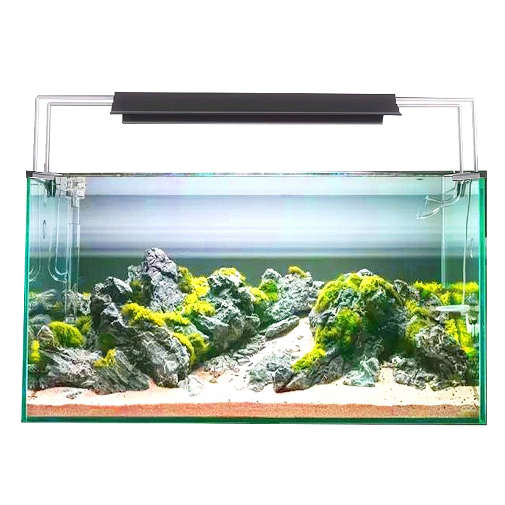 Powerful LED Planted WRGB Aqua - đánh giá và giá Planted Aquarium Freshwater