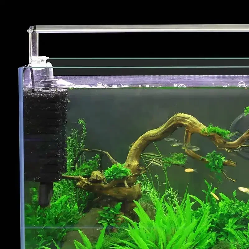 3-IN-1 Clip on Electric Power  - đánh giá và giá Aquarium Planted Filter