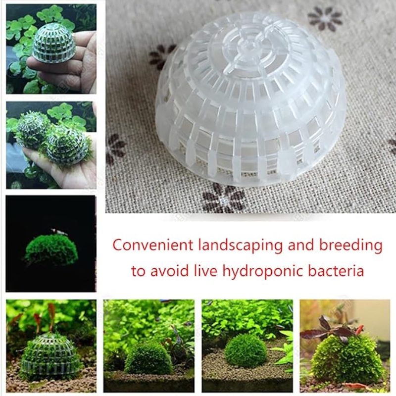 2pc Aquarium Moss Ball Holder, - đánh giá và giá Planted Aquarium Models