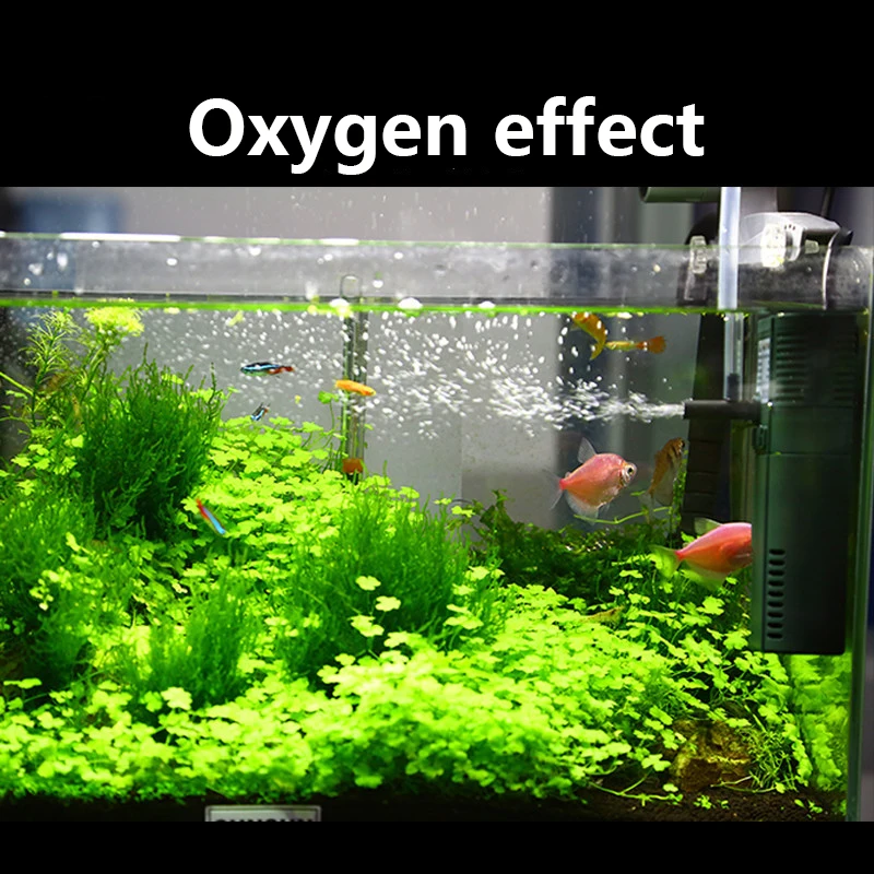 SUNSUN Nano Mini Xây Dựng Nội  - đánh giá và giá Aquarium Planted Filter