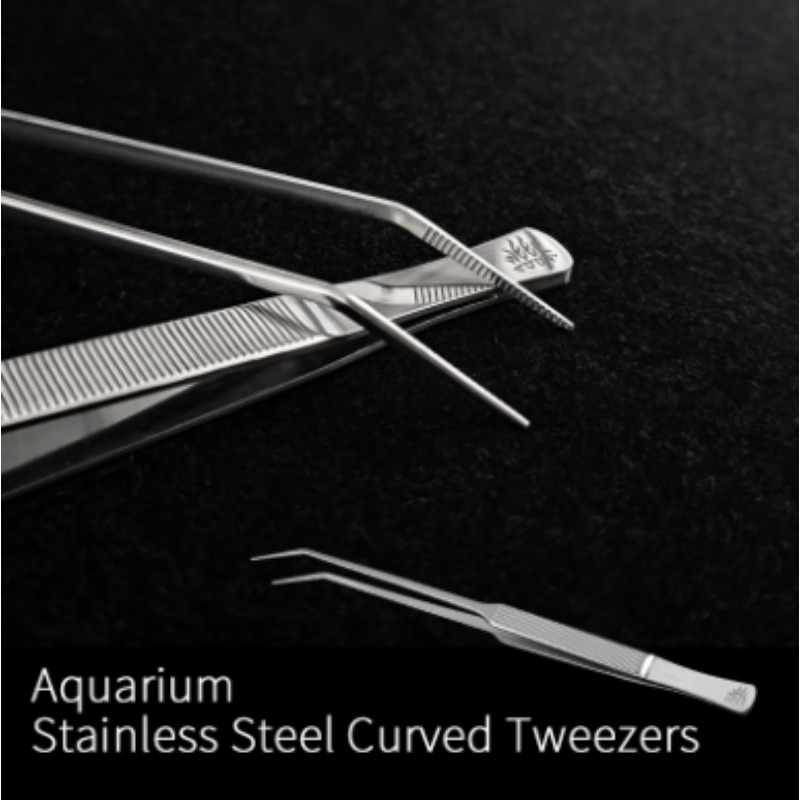 Week Aqua Stainless Steel Aqua - đánh giá và giá Planted Aquarium Freshwater